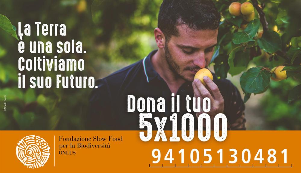 secondo_invio_alto(1)